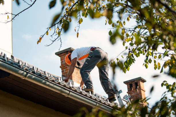 Best Roof Leak Repair  in Earlysville, VA
