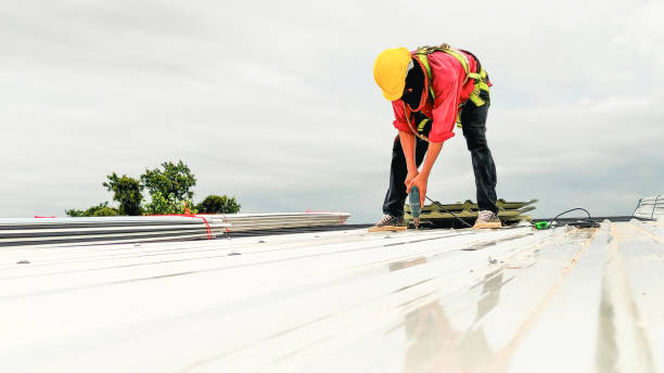 Best Gutter Installation and Repair  in Earlysville, VA