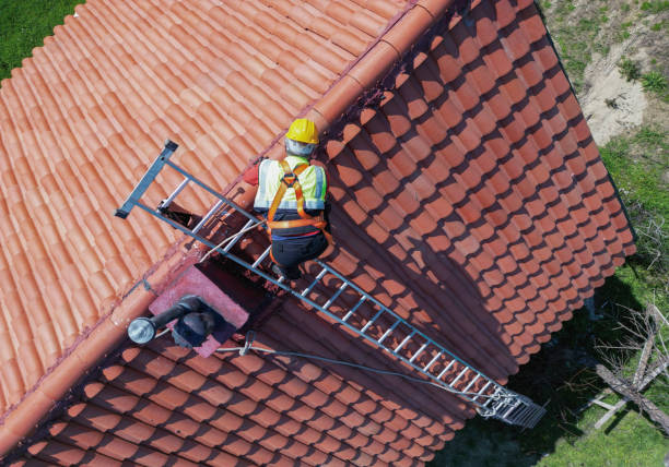 Best Cold Roofs  in Earlysville, VA