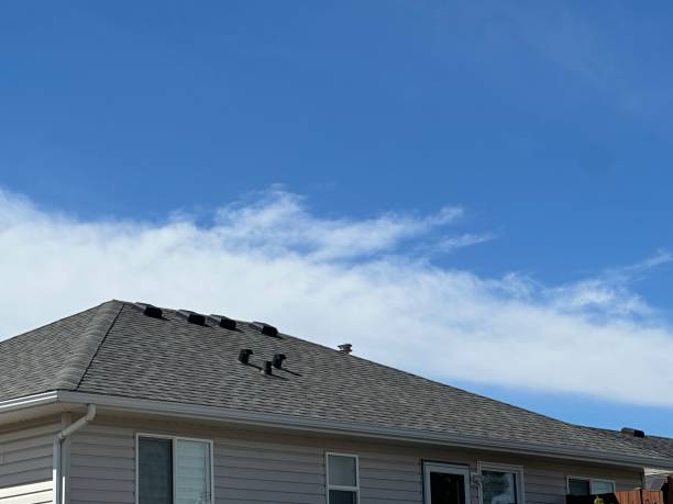 Best Storm Damage Roof Repair  in Earlysville, VA