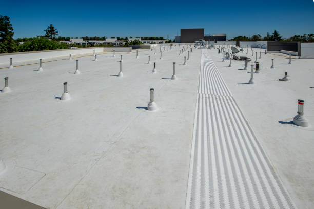 Best Roof Insulation Installation  in Earlysville, VA